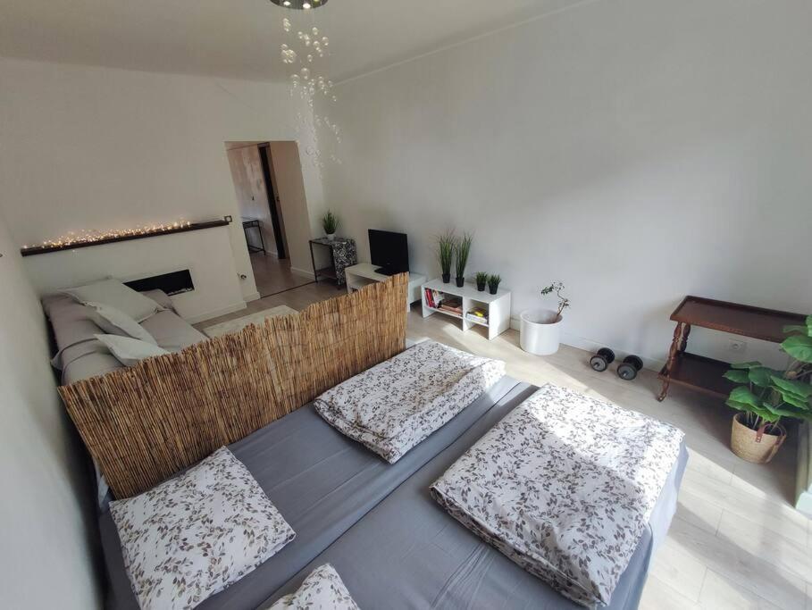 Apartament Design In Center