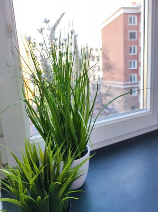 Design In Center Apartament