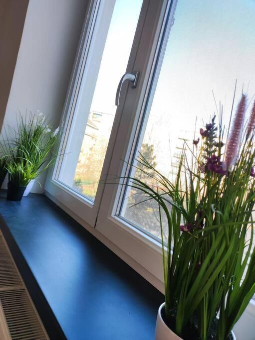 Design In Center Apartment Pressburg