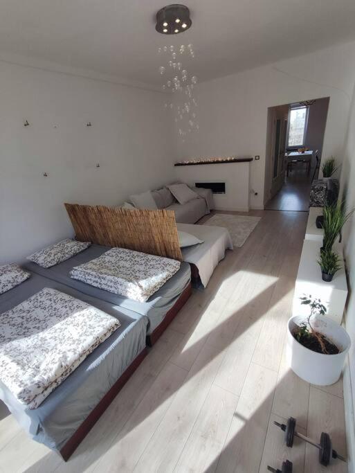 Design In Center Apartment Pressburg